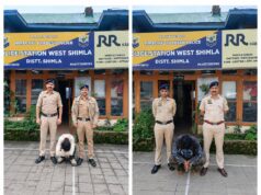 शिमला पुलिस का नशे के खिलाफ बड़ा अभियान, दो अंतरराज्यीय नशा सप्लाई नेटवर्क ध्वस्त, दो मुख्य सप्लायर गिरफ्तार