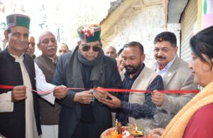 महिला आर्थिकी के साथ क्षेत्र के विकास को नई दिशा प्रदान करेंगी टमाटर प्रसंस्करण इकाइयां – डॉ. शांडिल