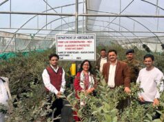 मनमोहन शर्मा ने धारों की धार में प्रगतिशील बागवान करण सिंह द्वारा स्थापित ब्लूबेरी फ्रंट लाइन डेमोंस्ट्रेशन इकाई का किया दौरा