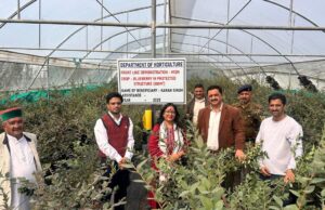 मनमोहन शर्मा ने धारों की धार में प्रगतिशील बागवान करण सिंह द्वारा स्थापित ब्लूबेरी फ्रंट लाइन डेमोंस्ट्रेशन इकाई का किया दौरा