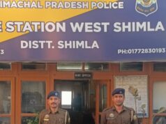 शिमला पुलिस की सफलता: शोघी के पास बस चेकिंग में 7 ग्राम चिट्टा/हेरोइन बरामद, 25 वर्षीय आरोपी गिरफ्तार